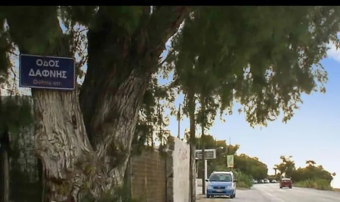 Apartamento Sfirakis Sea Side Kato Diminio